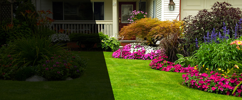 Delmar Landscapers