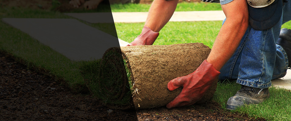 Delmar Landscapers